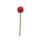 EUROPALMS Allium spray, artificial, red, 55cm