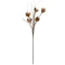 EUROPALMS Artichoke Branch (EVA), artificial, beige, 100cm