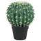 EUROPALMS Barrel Cactus, artificial plant, 34cm