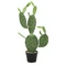 EUROPALMS Nopal cactus, artificial plant, 75cm
