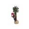 EUROPALMS Christmas bear, with fir, 105cm