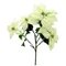 EUROPALMS Poinsettia bush, cream, 60cm