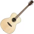 Kép 1/2 - Prodipe - SA29 SP Auditorium akusztikus gitár, szemből
