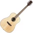 Kép 1/2 - Prodipe - SD29 SP Dreadnought akusztikus gitár, szemből