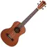 Kép 1/2 - Prodipe - BT3 EQ tenor ukulele elektronikával, szemből