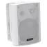 Kép 1/5 - OMNITRONIC WPS-5W PA Wall Speaker