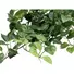 Kép 2/3 - EUROPALMS Pothos bush tendril classic, artificial, 60cm