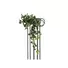 Kép 1/3 - EUROPALMS Pothos bush tendril classic, artificial, 100cm