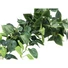 Kép 2/3 - EUROPALMS Pothos bush tendril classic, artificial, 100cm