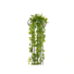 Kép 1/4 - EUROPALMS Pothos bush tendril premium, artificial, 170cm