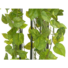 Kép 2/4 - EUROPALMS Pothos bush tendril premium, artificial, 170cm