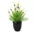 Kép 1/4 - EUROPALMS Feather lettuce, artificial, 40cm