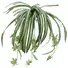 Kép 1/4 - EUROPALMS Spider plant, artificial, 60cm