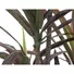 Kép 2/3 - EUROPALMS Dracaena, green-red, artificial,  180cm