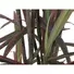 Kép 3/3 - EUROPALMS Dracaena, green-red, artificial,  180cm