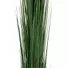 Kép 2/3 - EUROPALMS Reed grass, dark green, artificial,  127cm