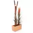 Kép 3/4 - EUROPALMS Reed grass, light brown, artificial,  127cm