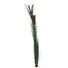 Kép 1/3 - EUROPALMS Reed grass with cattails,dark-green, artificial, 152cm