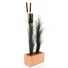 Kép 3/3 - EUROPALMS Reed grass with cattails,dark-green, artificial, 152cm