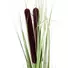 Kép 2/3 - EUROPALMS Reed grass with cattails,light green, artificial, 152cm