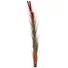 Kép 1/3 - EUROPALMS Reed grass with cattails, light-brown, artificial, 152cm