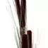 Kép 2/3 - EUROPALMS Reed grass cattails, dark-brown, artificial,  152cm