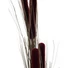 Kép 2/3 - EUROPALMS Reed grass cattails, dark-brown, artificial,  152cm