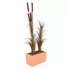 Kép 3/3 - EUROPALMS Reed grass cattails, dark-brown, artificial,  152cm