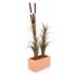 Kép 3/3 - EUROPALMS Reed grass cattails, dark-brown, artificial,  152cm