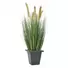 Kép 1/3 - EUROPALMS Moor-grass in pot, artificial, 60cm