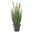 Kép 1/3 - EUROPALMS Moor-grass in pot, artificial, 60cm