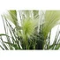 Kép 3/5 - EUROPALMS Feather grass, artificial, white, 60cm