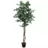 Kép 1/3 - EUROPALMS Variegated Ficus, artificial plant, 180cm