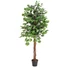 Kép 1/3 - EUROPALMS Ficus Tree Multi Trunk, artificial plant, 150cm