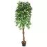 Kép 1/3 - EUROPALMS Ficus Tree Multi-Trunk, artificial plant, 180cm