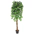 Kép 1/3 - EUROPALMS Ficus Tree Multi-Trunk, artificial plant, 180cm