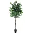 Kép 1/3 - EUROPALMS Ficus Tree Multi-Trunk, artificial plant, 210cm