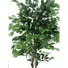 Kép 2/3 - EUROPALMS Ficus Tree Multi-Trunk, artificial plant, 210cm