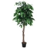 Kép 1/2 - EUROPALMS Jungle tree Mango, artificial plant, 180cm