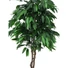 Kép 2/2 - EUROPALMS Jungle tree Mango, artificial plant, 180cm