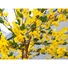 Kép 3/5 - EUROPALMS Forsythia tree with 3 trunks, artificial plant, yellow, 150cm