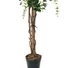 Kép 3/3 - EUROPALMS Wisteria, artificial plant, white, 150cm