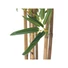 Kép 3/3 - EUROPALMS Bamboo deluxe, artificial plant, 120cm