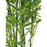 Kép 2/3 - EUROPALMS Bamboo in bowl, artificial, 120cm