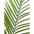 Kép 2/3 - EUROPALMS Areca palm with big leaves, artificial plant, 165cm