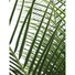 Kép 3/4 - EUROPALMS Phoenix  palm deluxe, artificial plant, 220cm