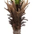 Kép 4/4 - EUROPALMS Phoenix  palm deluxe, artificial plant, 220cm