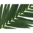 Kép 2/3 - EUROPALMS Coconut king palm branch, artificial, 150cm