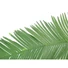 Kép 2/2 - EUROPALMS Coconut king palm branch, artificial, 180cm