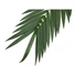 Kép 3/3 - EUROPALMS Coconut king palm branch, artificial, 210cm